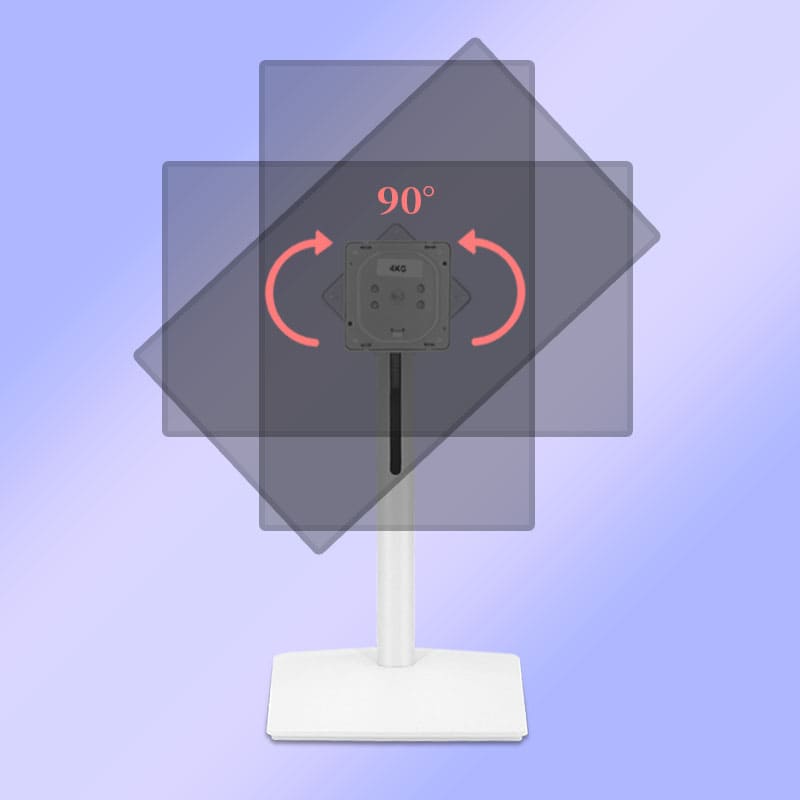 Fan-shape Base Adjustable Monitor Stand XY-2899